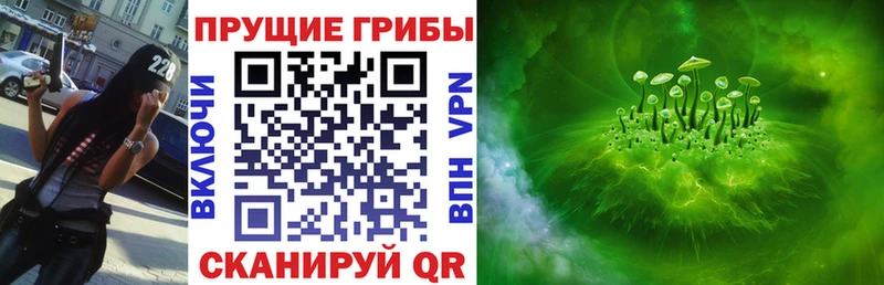 даркнет сайт  omg зеркало  Псилоцибиновые грибы ЛСД  Яхрома 